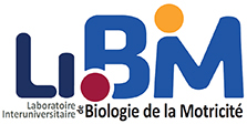 Logo LIBM, client de RDI Conception